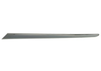 Decorative/protection panel, bumper