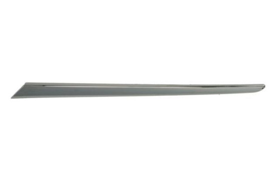Decorative/protection panel, bumper