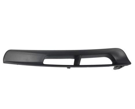 Decorative/protection panel, bumper