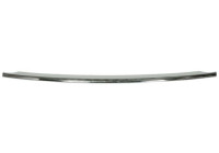 Decorative/protection panel, bumper