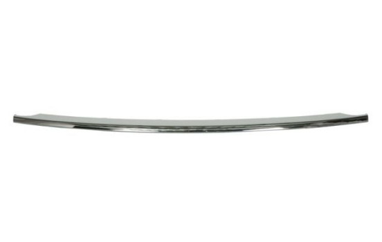 Decorative/protection panel, bumper