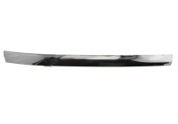 Decorative/protection panel, bumper