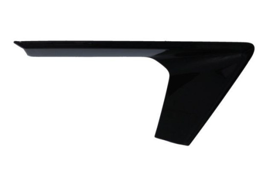 Decorative/protection panel, bumper