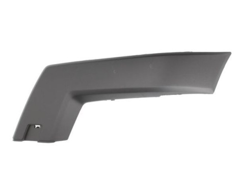 Decorative/protection panel, bumper