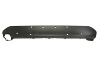 Decorative/protection panel, bumper