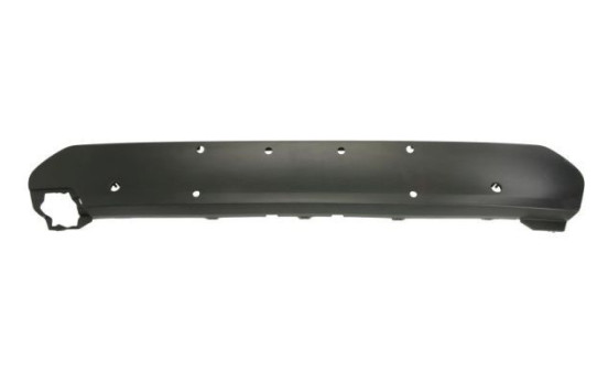 Decorative/protection panel, bumper