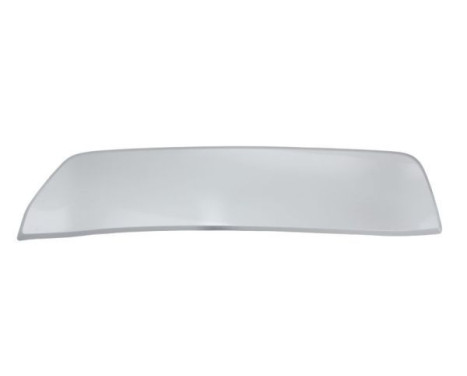 Decorative/protection panel, bumper