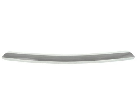 Decorative/protection panel, bumper