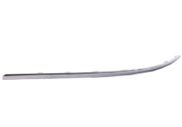 Decorative/protection panel, bumper