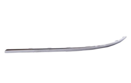 Decorative/protection panel, bumper