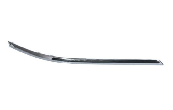 Decorative/protection panel, bumper