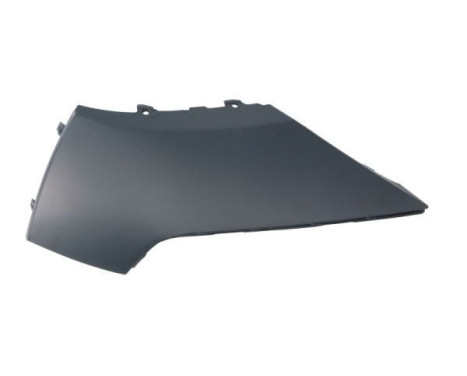 Decorative/protection panel, bumper