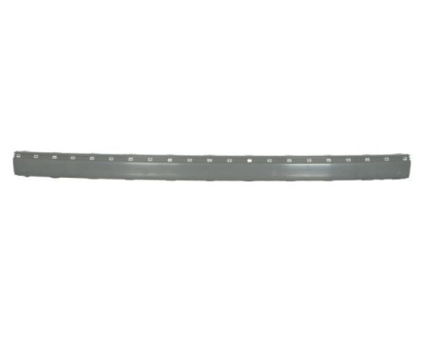 Decorative/protection panel, bumper