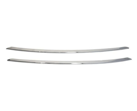 Decorative/protection panel, bumper