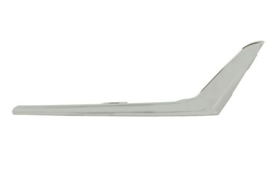Decorative/protection panel, bumper