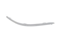 Decorative/protection panel, bumper