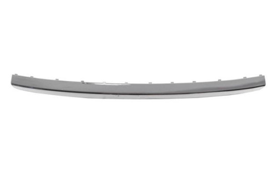 Decorative/protection panel, bumper