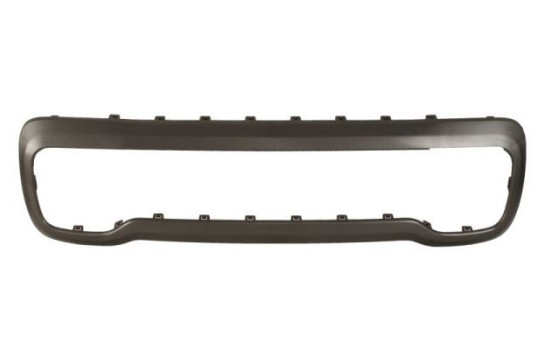 Decorative/protection panel, bumper