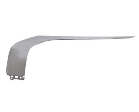 Decorative/protection panel, bumper