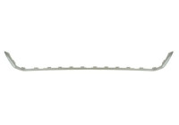 Decorative/protection panel, bumper