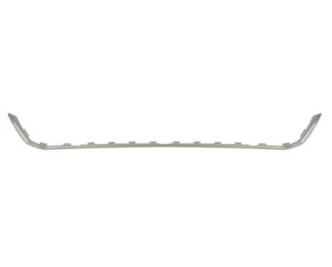Decorative/protection panel, bumper