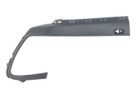 Decorative/protection panel, bumper