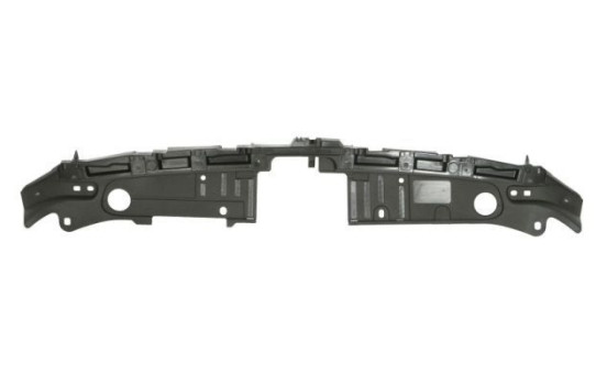 Decorative/protection panel, bumper