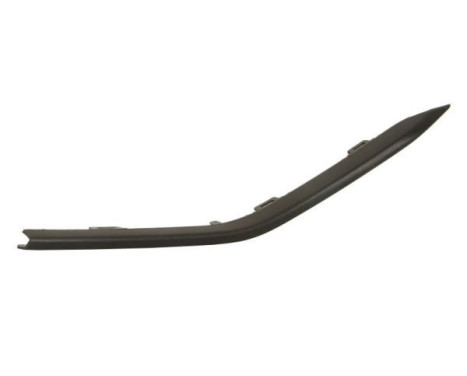 Decorative/protection panel, bumper