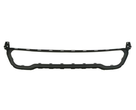 Decorative/protection panel, bumper