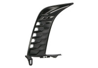 Decorative/protection panel, bumper