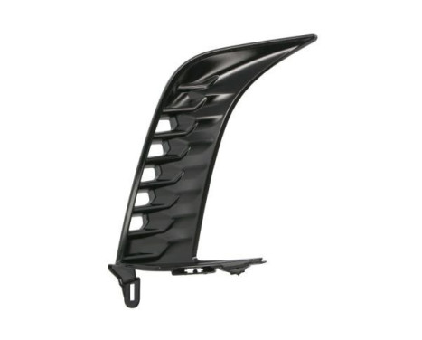 Decorative/protection panel, bumper