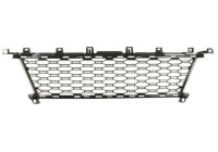 Decorative/protection panel, bumper