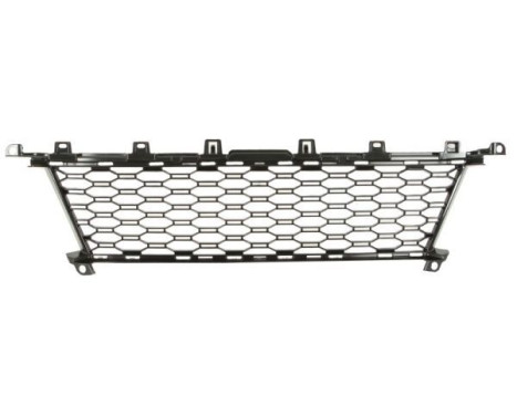 Decorative/protection panel, bumper