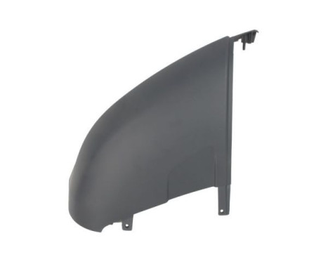 Decorative/protection panel, bumper