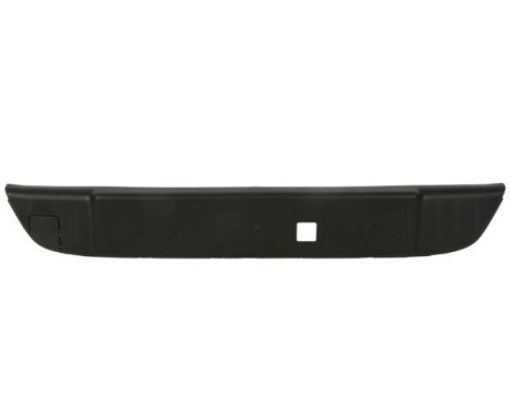 Decorative/protection panel, bumper
