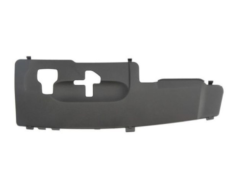 Decorative/protection panel, bumper