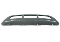 Decorative/protection panel, bumper