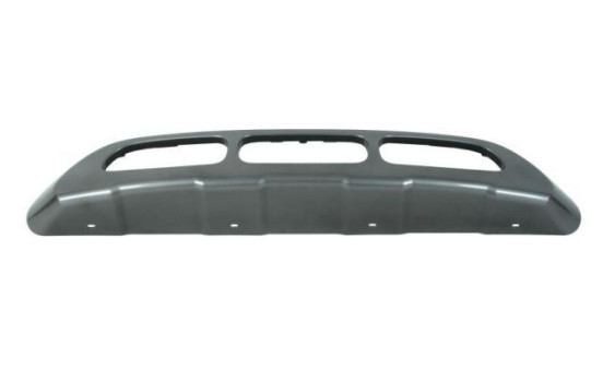 Decorative/protection panel, bumper
