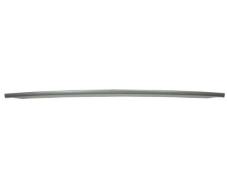 Decorative/protection panel, bumper