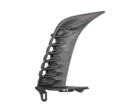 Decorative/protection panel, bumper