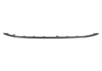 Decorative/protection panel, bumper
