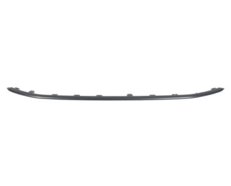 Decorative/protection panel, bumper