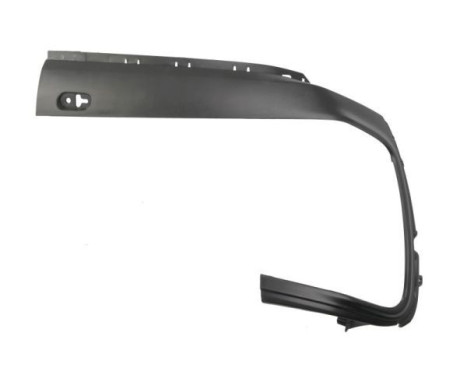 Decorative/protection panel, bumper