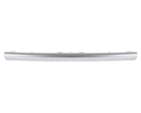 Decorative/protection panel, bumper