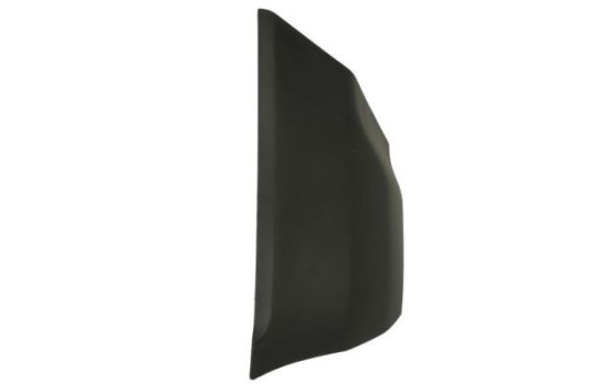 Decorative/protection panel, bumper