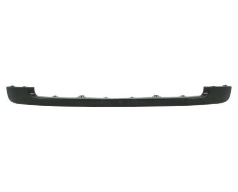 Decorative/protection panel, bumper