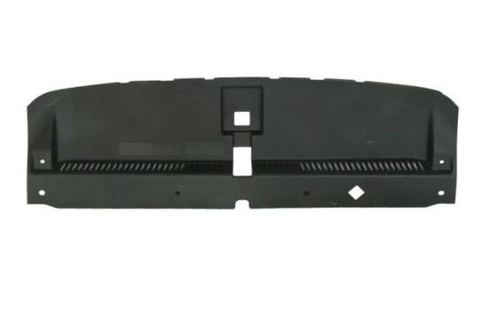 Decorative/protection panel, bumper