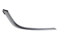 Decorative/protection panel, bumper