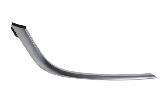 Decorative/protection panel, bumper