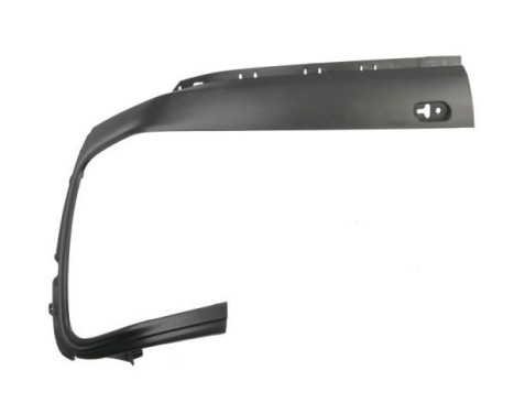 Decorative/protection panel, bumper